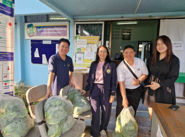 กระจายกะหล่ำปลีจากเกษตรกรจังหวัดน่านสู่ผู้บริโภคจังหวัดเชียงราย ... พารามิเตอร์รูปภาพ 2