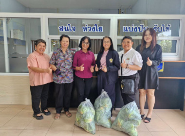 กระจายกะหล่ำปลีจากเกษตรกรจังหวัดน่านสู่ผู้บริโภคจังหวัดเชียงราย ... พารามิเตอร์รูปภาพ 3