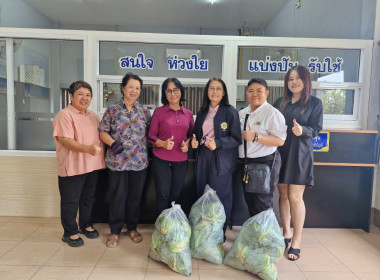 กระจายกะหล่ำปลีจากเกษตรกรจังหวัดน่านสู่ผู้บริโภคจังหวัดเชียงราย ... พารามิเตอร์รูปภาพ 4