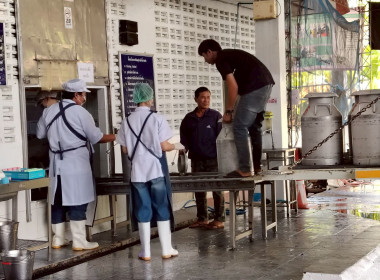 ร่วมตรวจนับปริมาณน้ำนมโค ... พารามิเตอร์รูปภาพ 3