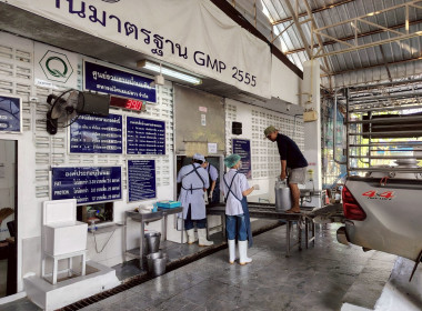 ร่วมตรวจนับปริมาณน้ำนมโค ... พารามิเตอร์รูปภาพ 9