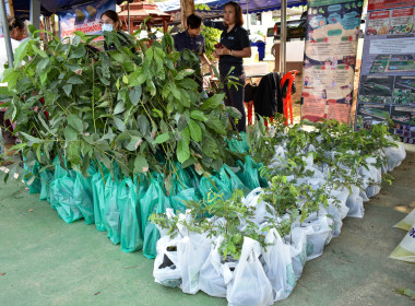 ร่วมกิจกรรมโครงการคลินิกเกษตรเคลื่อนที่ในพระราชานุเคราะห์ ... พารามิเตอร์รูปภาพ 1