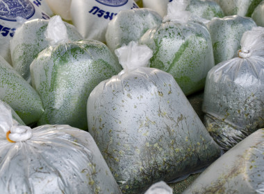 ร่วมกิจกรรมโครงการคลินิกเกษตรเคลื่อนที่ในพระราชานุเคราะห์ ... พารามิเตอร์รูปภาพ 2