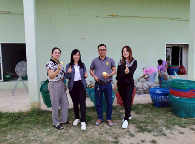 สำนักงานสหกรณ์จังหวัดเชียงรายกระจายผลผลิตสับปะรดภูแลออกนอกพื้นที่การผลิต ... พารามิเตอร์รูปภาพ 1