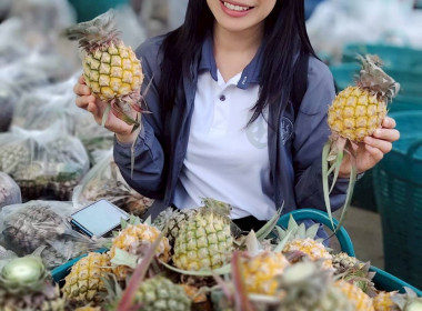 สำนักงานสหกรณ์จังหวัดเชียงรายกระจายผลผลิตสับปะรดภูแลออกนอกพื้นที่การผลิต ... พารามิเตอร์รูปภาพ 11