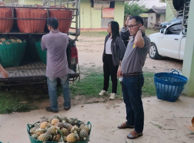 สำนักงานสหกรณ์จังหวัดเชียงรายกระจายผลผลิตสับปะรดภูแลออกนอกพื้นที่การผลิต ... พารามิเตอร์รูปภาพ 7