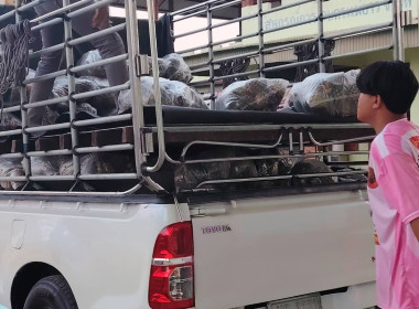 สำนักงานสหกรณ์จังหวัดเชียงรายกระจายผลผลิตสับปะรดภูแลออกนอกพื้นที่การผลิต ... พารามิเตอร์รูปภาพ 8