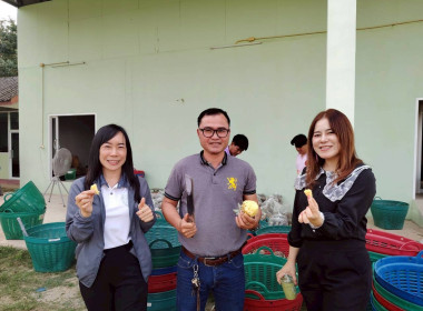 สำนักงานสหกรณ์จังหวัดเชียงรายกระจายผลผลิตสับปะรดภูแลออกนอกพื้นที่การผลิต ... พารามิเตอร์รูปภาพ 12