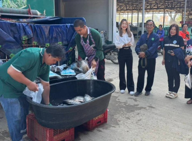 เข้าร่วมประชุมคณะกรรมการดำเนินการ สหกรณ์การเกษตรแม่สรวย ... พารามิเตอร์รูปภาพ 8