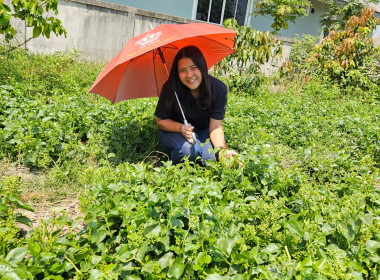 เข้าร่วมประชุมคณะกรรมการ กลุ่มเกษตรกรทำนาตำบลทานตะวัน พารามิเตอร์รูปภาพ 2