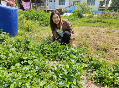 ตรวจเยี่ยมแหล่งเรียนรู้ เศรษฐกิจพอเพียง ... พารามิเตอร์รูปภาพ 4