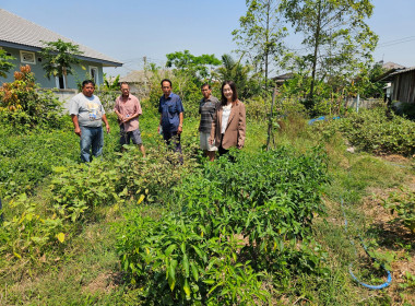 ตรวจเยี่ยมแหล่งเรียนรู้ เศรษฐกิจพอเพียง ... พารามิเตอร์รูปภาพ 8