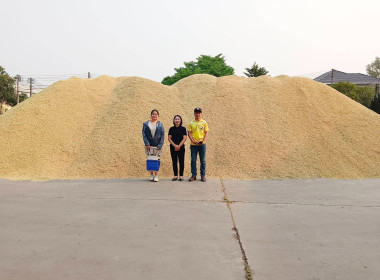 ตรวจเยี่ยมการรวบรวมข้าว สหกรณ์การเกษตรพญาเม็งราย จำกัด พารามิเตอร์รูปภาพ 1