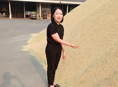 ตรวจเยี่ยมการรวบรวมข้าว สหกรณ์การเกษตรพญาเม็งราย จำกัด พารามิเตอร์รูปภาพ 2
