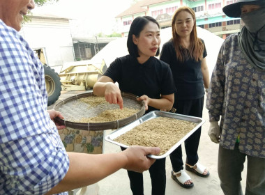 ตรวจเยี่ยมการรวบรวมข้าว สหกรณ์การเกษตรพญาเม็งราย จำกัด พารามิเตอร์รูปภาพ 3