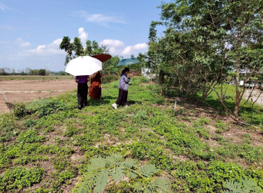 ลงพื้นที่ประสานงานโครงการส่งเสริมการแปรรูปสินค้าเกษตร พารามิเตอร์รูปภาพ 7