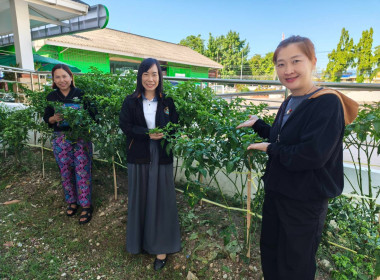 เข้าตรวจ ติดตามการดำเนินงาน และดำเนินธุรกิจ ... พารามิเตอร์รูปภาพ 3