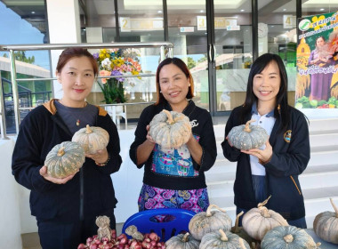 เข้าตรวจ ติดตามการดำเนินงาน และดำเนินธุรกิจ ... พารามิเตอร์รูปภาพ 4