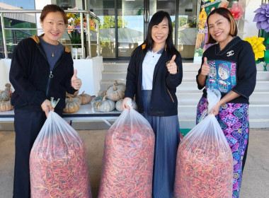 เข้าตรวจ ติดตามการดำเนินงาน และดำเนินธุรกิจ ... พารามิเตอร์รูปภาพ 5