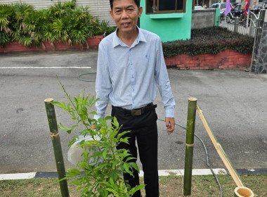 สหกรณ์จังหวัดเชียงราย ปลูกต้นทองอุไร ... พารามิเตอร์รูปภาพ 1