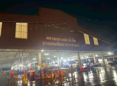 จัดโครงการ ... พารามิเตอร์รูปภาพ 1