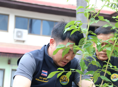 อธิบดีกรมส่งเสริมสหกรณ์ "ปลูกต้นไม้แห่งความทรงจำ" ... พารามิเตอร์รูปภาพ 8