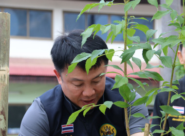 อธิบดีกรมส่งเสริมสหกรณ์ "ปลูกต้นไม้แห่งความทรงจำ" ... พารามิเตอร์รูปภาพ 1
