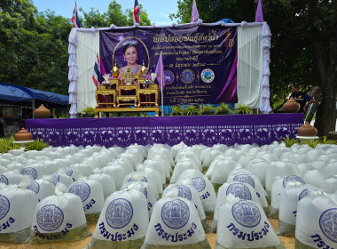 รมช. เกษตรและสหกรณ์ ... พารามิเตอร์รูปภาพ 19