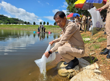 รมช. เกษตรและสหกรณ์ ... พารามิเตอร์รูปภาพ 25