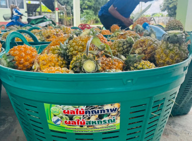 ติดตามผลการใช้เงินกู้กองทุนพัฒนาสหกรณ์ สหกรณ์การเกษตรแม่ยาว ... พารามิเตอร์รูปภาพ 5