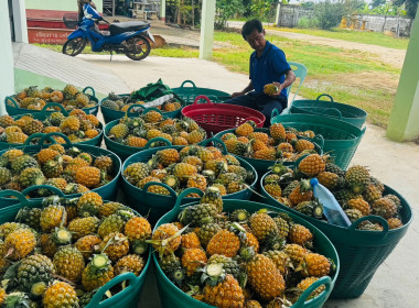 ติดตามผลการใช้เงินกู้กองทุนพัฒนาสหกรณ์ สหกรณ์การเกษตรแม่ยาว ... พารามิเตอร์รูปภาพ 6
