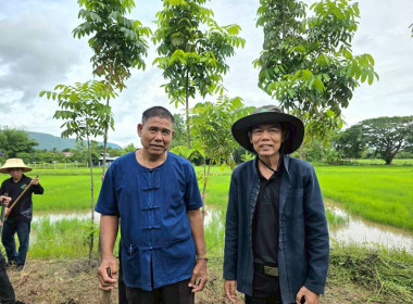 สำนักงานสหกรณ์จังหวัดเชียงราย จัดกิจกรรมปลูกพืชสมุนไพร ... พารามิเตอร์รูปภาพ 2