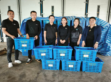 เข้าติดตามการจัดซื้อบรรจุภัณฑ์(ตะกร้าหูเหล็ก) ... พารามิเตอร์รูปภาพ 4