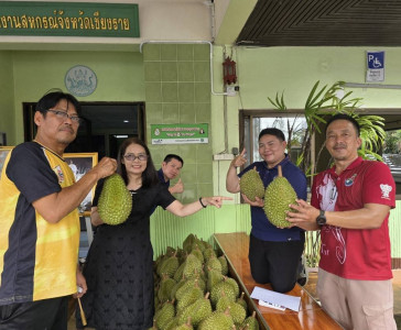 สหกรณ์จังหวัดเชียงราย ผนึกกำลังกระจาย “ทุเรียนมูซังคิง” ... พารามิเตอร์รูปภาพ 1