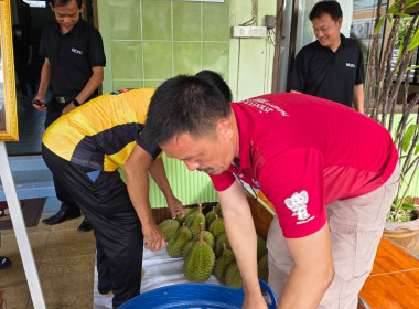 สหกรณ์จังหวัดเชียงราย ผนึกกำลังกระจาย “ทุเรียนมูซังคิง” ... พารามิเตอร์รูปภาพ 7