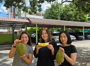 สหกรณ์จังหวัดเชียงราย ผนึกกำลังกระจาย “ทุเรียนมูซังคิง” ... พารามิเตอร์รูปภาพ 10
