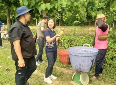 ติดตามโครงการส่งเสริมและพัฒนาสินค้าเกษตรอัตลักษณ์พื้นถิ่น ... พารามิเตอร์รูปภาพ 1