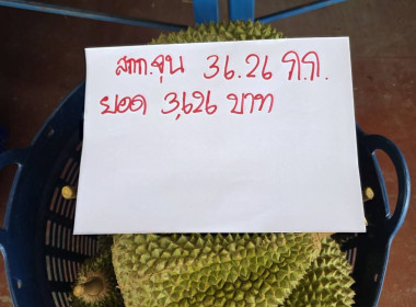 สหกรณ์จังหวัดเชียงราย ผนึกกำลังสหกรณ์การเกษตรป่าแดด จำกัด ... พารามิเตอร์รูปภาพ 19