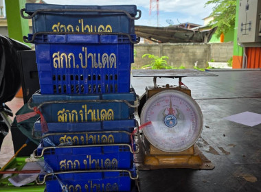 สหกรณ์จังหวัดเชียงราย ผนึกกำลังสหกรณ์การเกษตรป่าแดด จำกัด ... พารามิเตอร์รูปภาพ 23