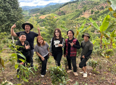 ติดตามส่งเสริมสินค้าเกษตร กาแฟ “U Doi” ... พารามิเตอร์รูปภาพ 2