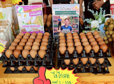 รัฐมนตรีว่าการกระทรวงเกษตรฯ-แรงงาน" จับมือลงพื้นที่เชียงราย ... พารามิเตอร์รูปภาพ 44