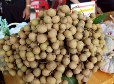 รัฐมนตรีว่าการกระทรวงเกษตรฯ-แรงงาน" จับมือลงพื้นที่เชียงราย ... พารามิเตอร์รูปภาพ 45