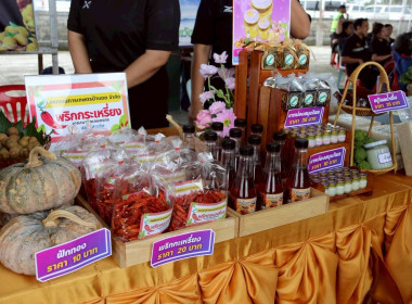รัฐมนตรีว่าการกระทรวงเกษตรฯ-แรงงาน" จับมือลงพื้นที่เชียงราย ... พารามิเตอร์รูปภาพ 46