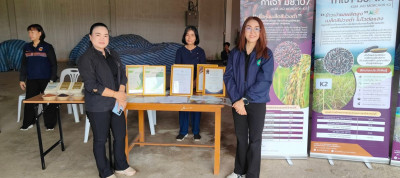 ลงพื้นที่และประชุมคณะกรรมการโครงการส่งเสริมและพัฒนาข้าวคุณภาพสูงเพื่อเพิ่มรายได้เกษตรกร ปี 2569 (ข้าวประณีต) จังหวัดเชียงราย ... พารามิเตอร์รูปภาพ 1
