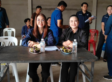 ลงพื้นที่และประชุมคณะกรรมการโครงการส่งเสริมและพัฒนาข้าวคุณภาพสูงเพื่อเพิ่มรายได้เกษตรกร ปี 2569 (ข้าวประณีต) จังหวัดเชียงราย ... พารามิเตอร์รูปภาพ 8