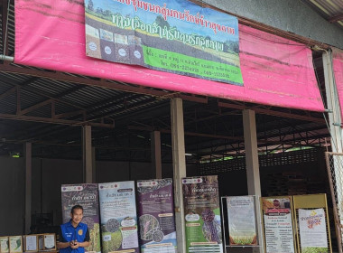ลงพื้นที่และประชุมคณะกรรมการโครงการส่งเสริมและพัฒนาข้าวคุณภาพสูงเพื่อเพิ่มรายได้เกษตรกร ปี 2569 (ข้าวประณีต) จังหวัดเชียงราย ... พารามิเตอร์รูปภาพ 12
