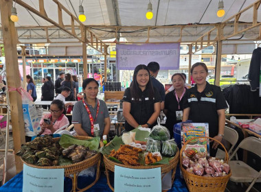 Northern Fruit Connect 2026: เชื่อมสวน เชื่อมสหกรณ์ ... พารามิเตอร์รูปภาพ 56