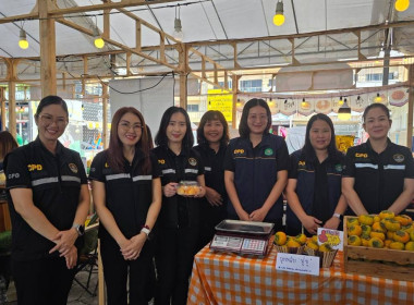 Northern Fruit Connect 2026: เชื่อมสวน เชื่อมสหกรณ์ ... พารามิเตอร์รูปภาพ 59