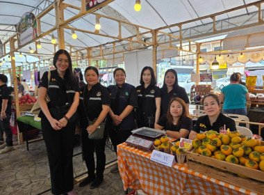 Northern Fruit Connect 2026: เชื่อมสวน เชื่อมสหกรณ์ ... พารามิเตอร์รูปภาพ 63