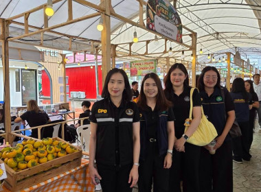 Northern Fruit Connect 2026: เชื่อมสวน เชื่อมสหกรณ์ ... พารามิเตอร์รูปภาพ 64